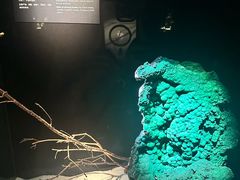 -深圳珠宝博物馆