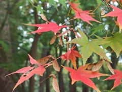 -共青国家森林公园-售票处