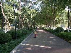 -怡海公园(桂城街道)