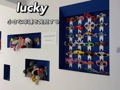 -Blue Concept Cafe&Farm·關於藍