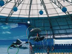 -尼莫海豚馆