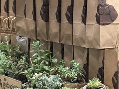 -wakanda瓦坎达咖啡(创享天地店)