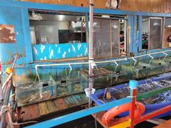 -蓝湾碧波·老字号·疍家非遗海上餐厅