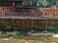 -车溪民俗旅游区