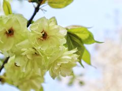 -白塘生态植物园