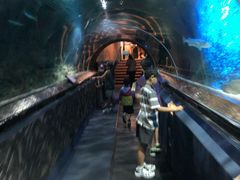 -凯莉-塔尔敦海洋生物水族馆