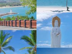 -亚龙湾热带天堂森林公园