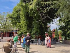 -大槐树寻根祭祖园
