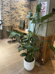 -PE SALON