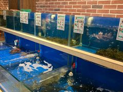 水产区-姜君·千岛湖鱼头馆(浦东大道店)