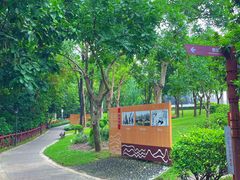 -阳台山森林公园