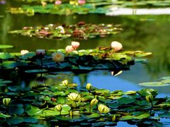 -国家植物园南园