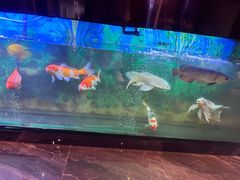 -汉仁宫·古法按摩·足道·SPA(沙井店)