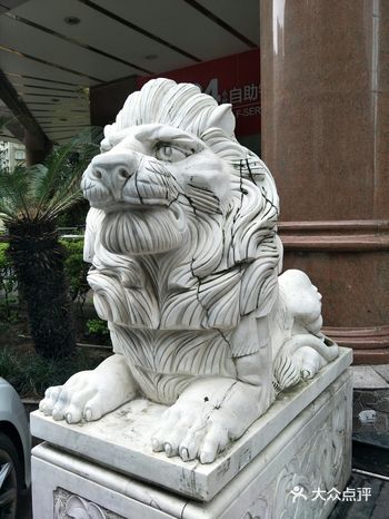 威风凛凛，分得清哪只公，哪只母吗？路过
