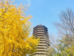 -玲珑塔公园