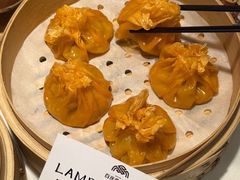 -百彦蒙古包·碳烤羊排·手抓羊肉(万江首店)