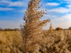 -赛汗塔拉风情园