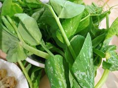 -海关荤豆花(洋河一路店)