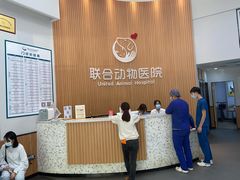 -联合动物医院(光谷诊疗中心)