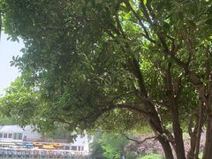 -食膳公园包子铺(烈士公园店)