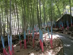 -百杖潭景区