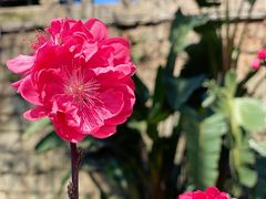 -船政文化景区-罗星塔公园