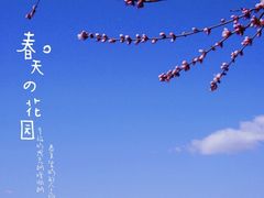 -大兴滨河森林公园