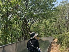 -富斯特索道