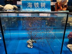 -太奥幻太奇海洋馆