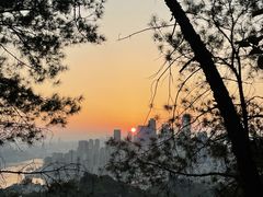 -南山植物园