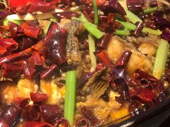 -老板恋上鱼(恒隆广场店)