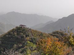 -大岭沟猕猴桃谷风景区