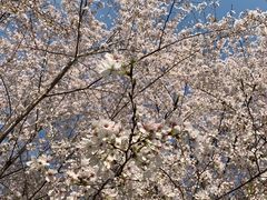 -川香煲(茅台路店)