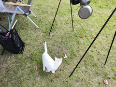 -广富林郊野公园