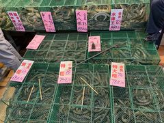 -荔城生鲜盛宴(番禺旗舰店)