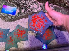 -沈阳海洋探索中心