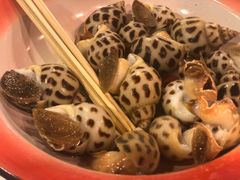 -鲜入围煮花胶鸡海鲜火锅