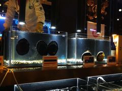 -璞御·海鲜·雪花牛肉局(宾水西道店)
