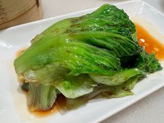 白灼生菜-金鼎轩(方庄天坛店)