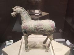 -张掖市博物馆