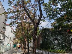 -三溪村