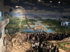 -自贡恐龙博物馆