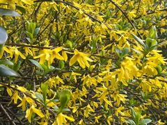 -宁波儿童公园(鄞州区)