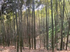 -杭州黄龙洞