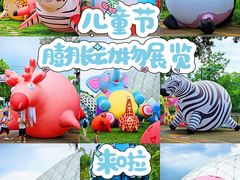 -观澜湖生态运动公社