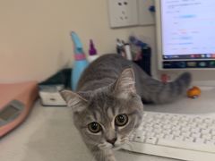 -佳雯宠物医院·皮肤科·内外科(春晓路分院)