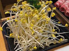 -卤校长重庆老火锅(南岗万达店)