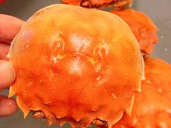 -丫丫蟹庄·苏式园林农家乐·阳澄湖大闸蟹(阳澄湖莲花岛店)