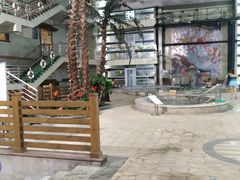 -南宫温泉水世界