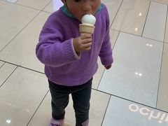 -DQ·蛋糕·冰淇淋(绿宝店)